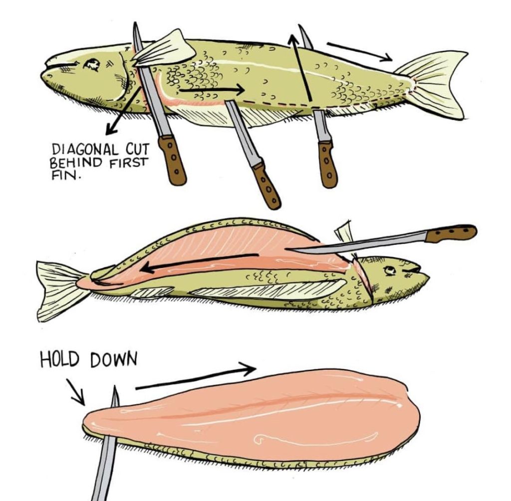 Visual : Quick and dirty guide to filleting. - Infographic.tv - Number ...