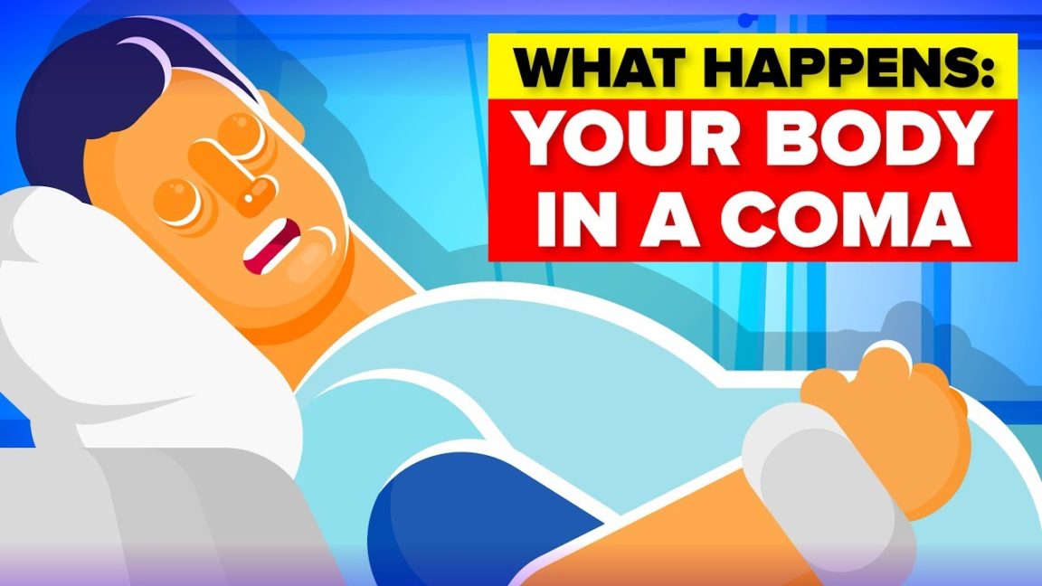 Video Infographic What Happens To Your Body In A Coma Infographic Tv Number One