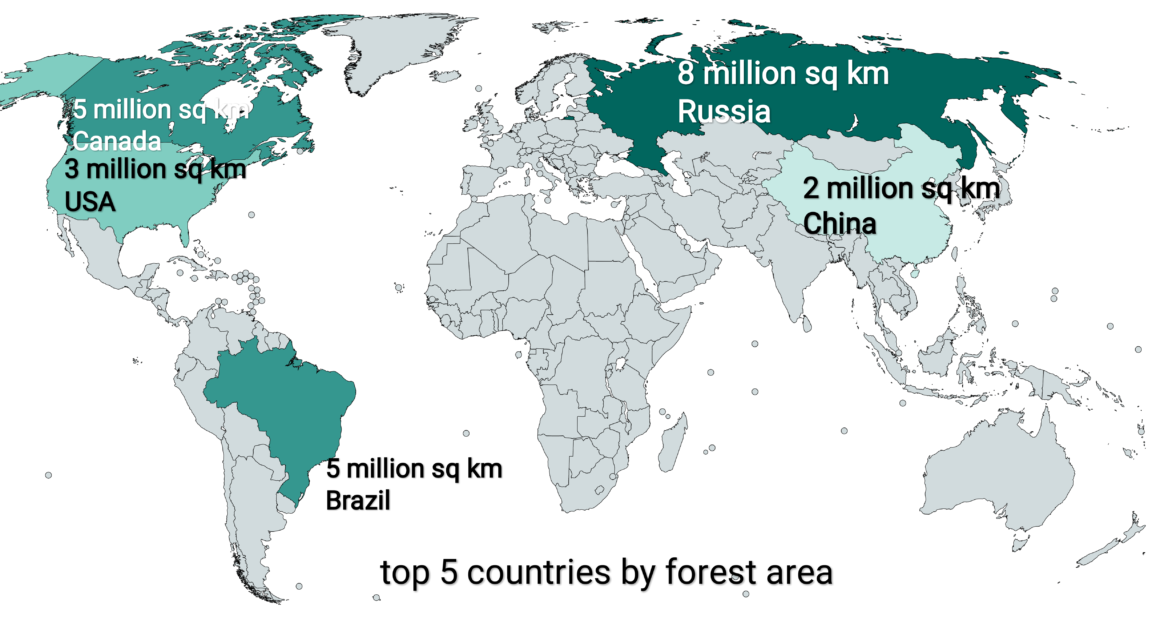 Map Top 5 countries by forest area Infographic.tv Number one