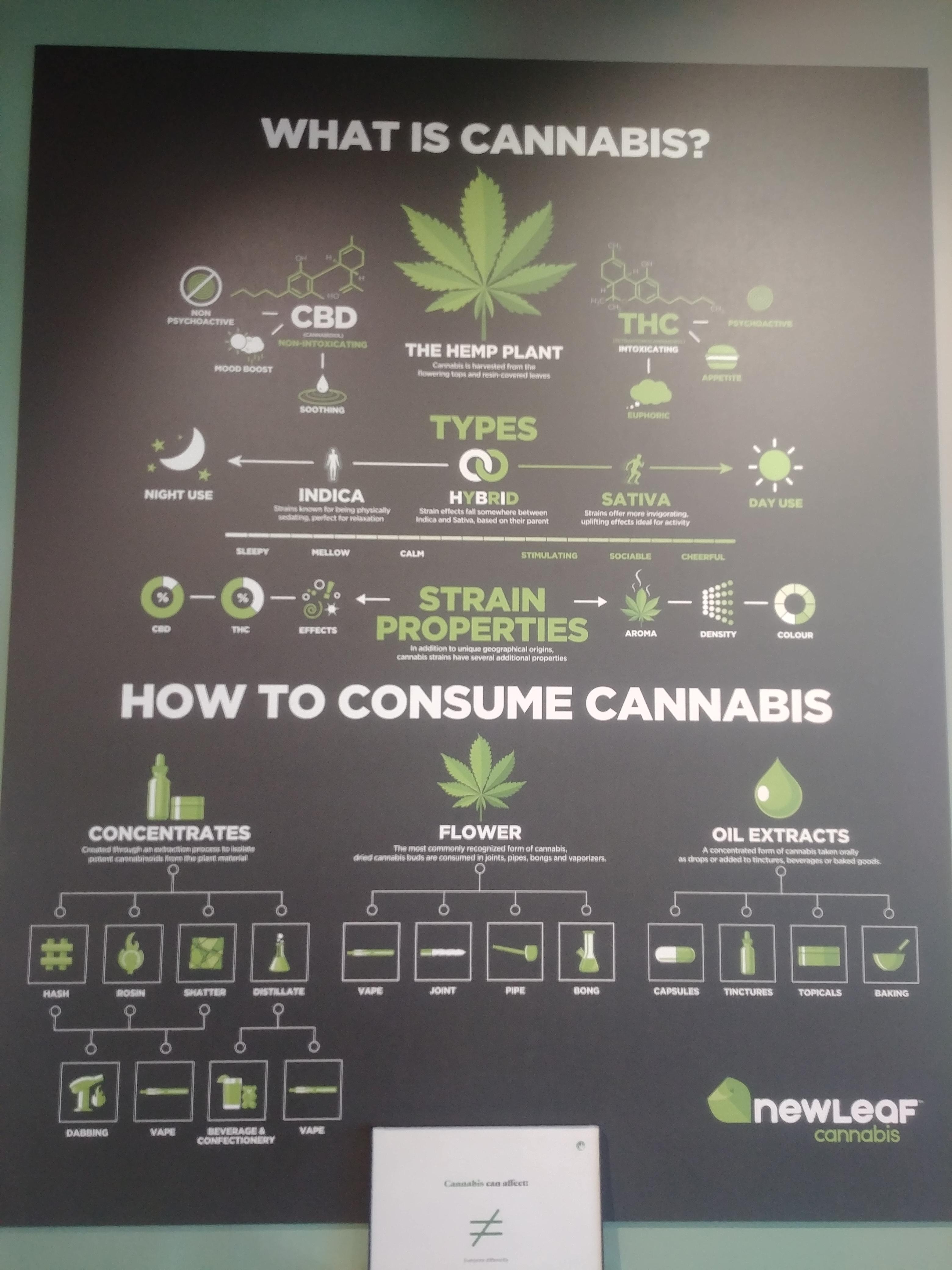 Visual : Marijuana chart found at local dispensary. - Infographic.tv