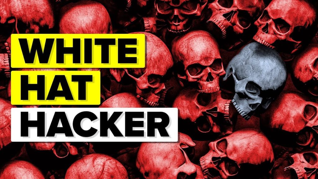 Video Infographic White Hat Hacking Explained Infographic Tv