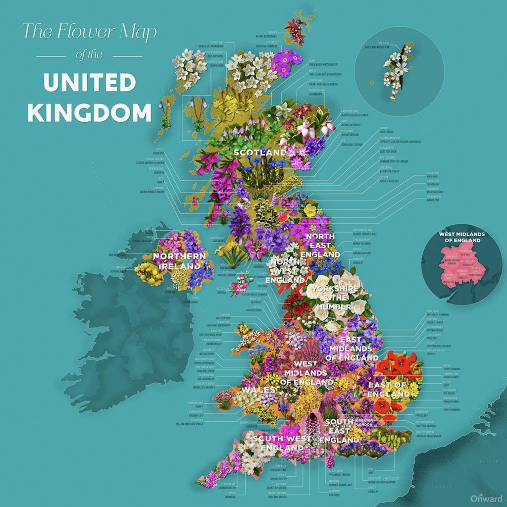 Map : A Map of each county flower in the UK – Infographic.tv – Number ...