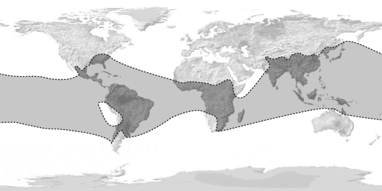 Map Worldwide Distribution Of Bamboos 758x379 