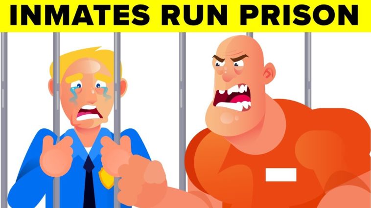 Video Infographic The Prison Where The Prisoners Are In Charge