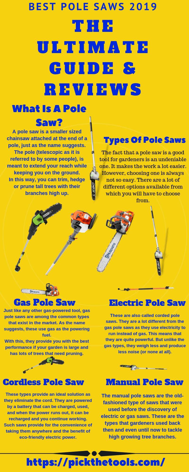 Infographic Best Pole Saws 2019 Infographic.tv Number one