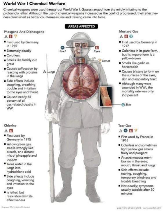 infographic-effects-of-different-gases-used-in-wwi-infographic-tv