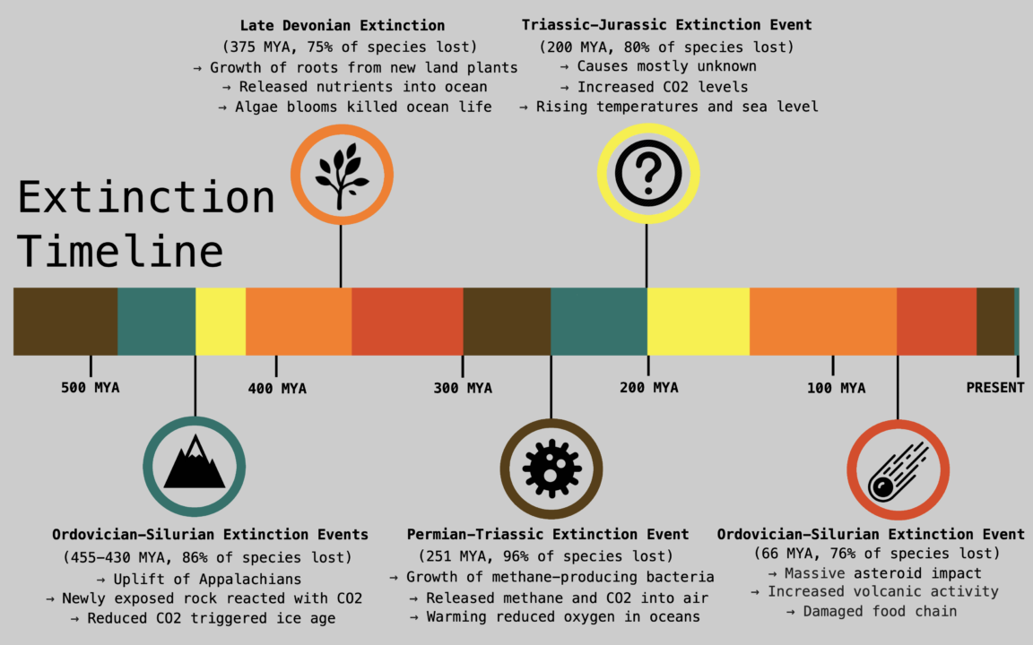 Infographic Timeline Of All Five Major Extinctions Infographic tv 