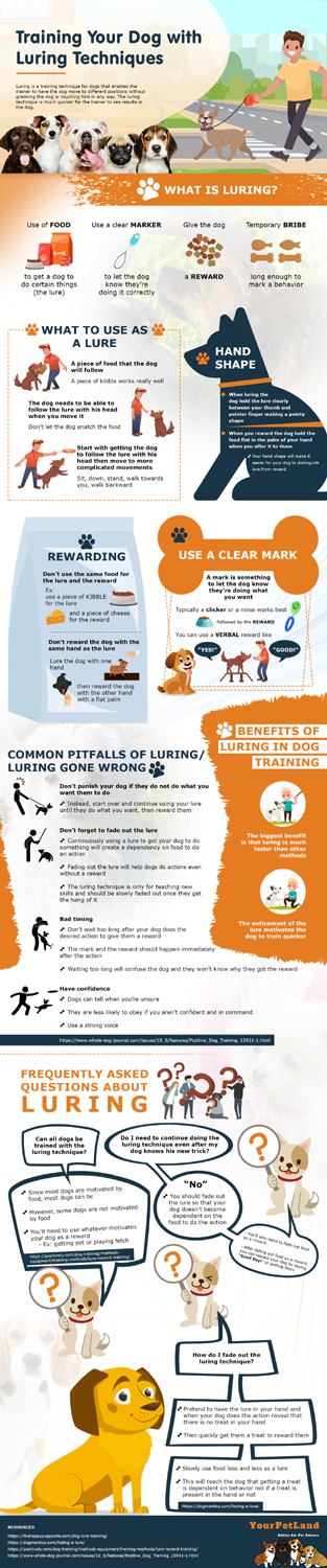 Infographic Training Your Dog With Luring Techniques Top Infographic