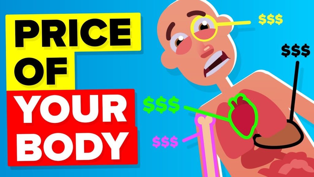 Video Infographic How Much Is An Entire Human Body Worth