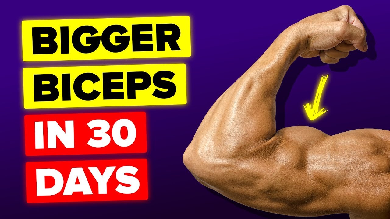 Video Infographic : How I Got Bigger Biceps In 30 Days