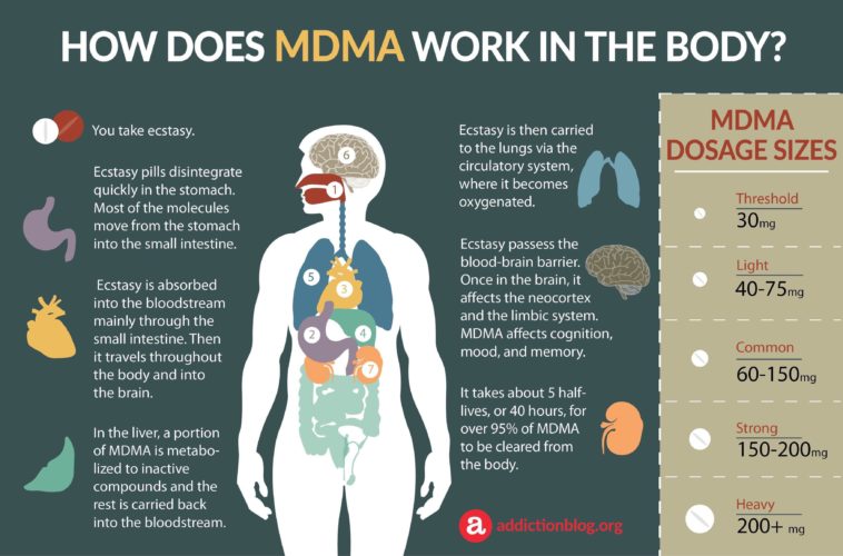 Infographic Mdmas Effects Infographictv Number One Infographics And Data Data 9823