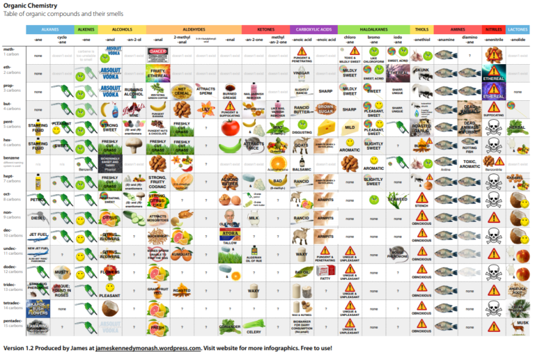 infographic-table-of-organic-compounds-and-their-smells-infographic-tv-number-one