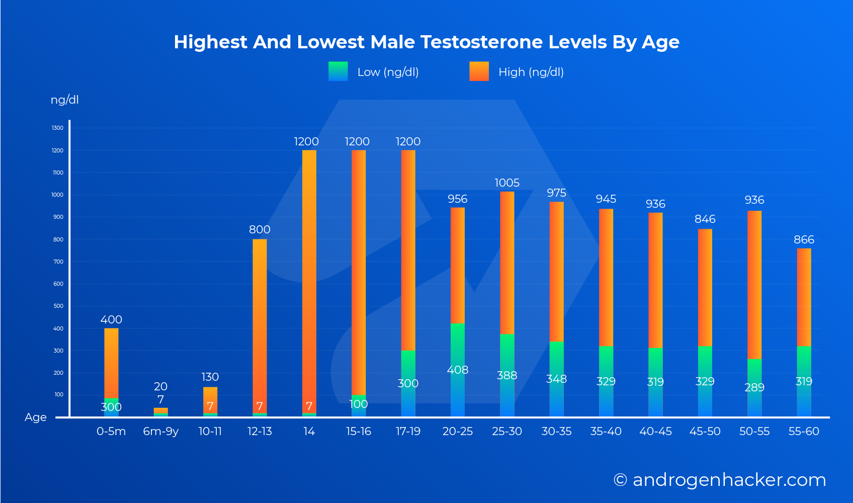 Infographic Testosterone Levels By Age Chart For Men Infographictv Number One 