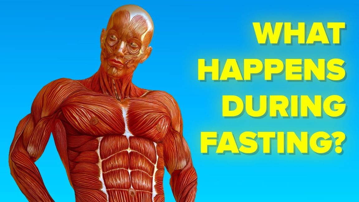 Video Infographic What Happens To Your Body When You Don't Eat (Fast