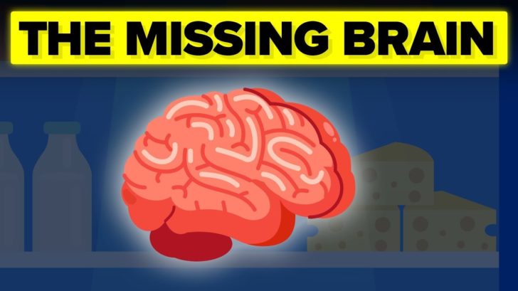 Video Infographic : The Insane Mystery Surrounding JFK's Missing Brain ...