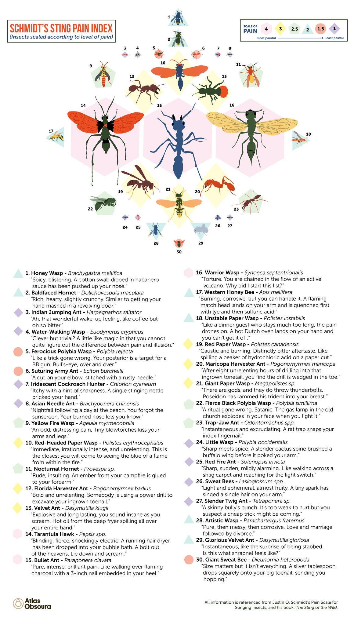 pain rating index