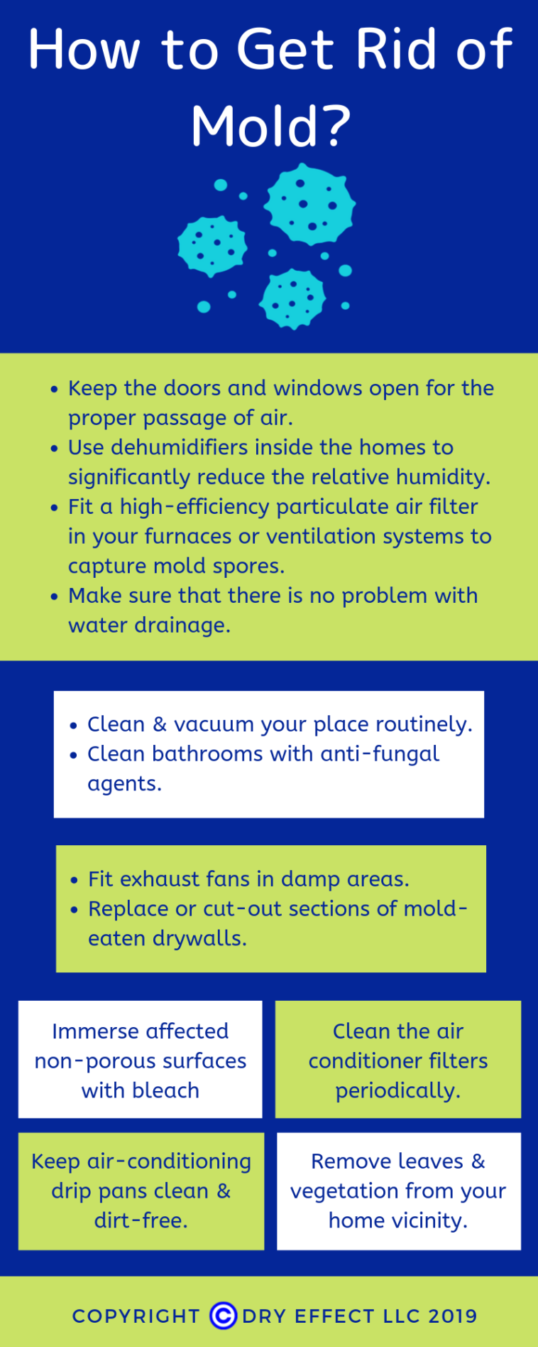 Infographic : How To Get Rid Of Mold? - Infographic.tv - Number One ...