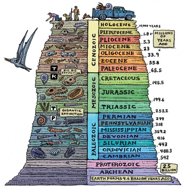 Infographic : Geographical Time Scale - Infographic.tv - Number one