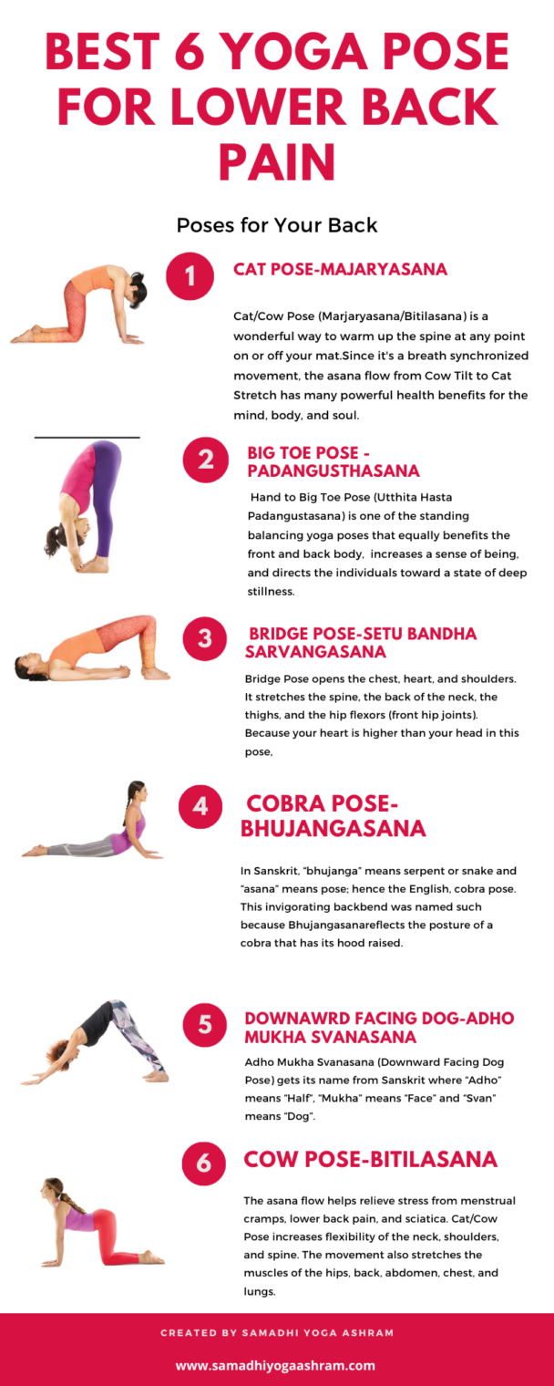 Infographic : Best 6 Yoga pose For Lower back Pain -2020 - Infographic ...