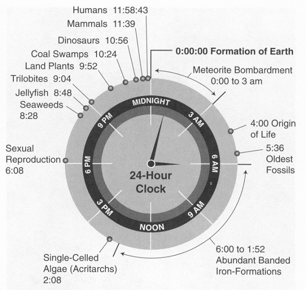 Infographic Earths 45 Billion Year History Represented On A 24 Hour