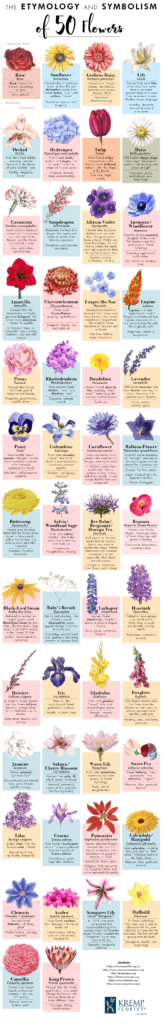 Infographic The Etymology And Symbolism Of 50 Flowers Infographic Tv Number One