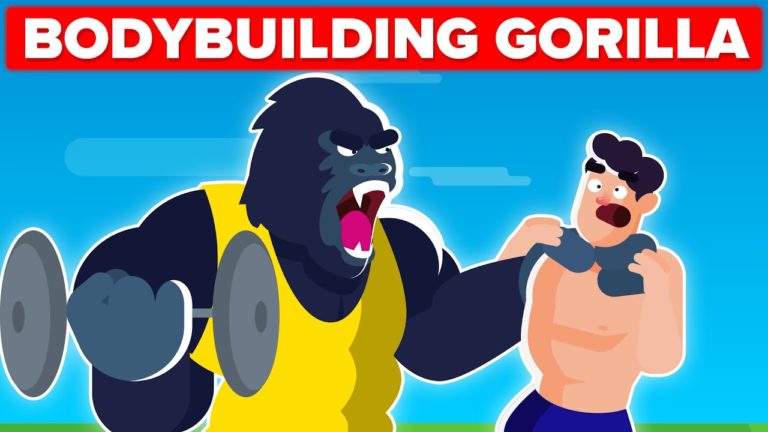 Video Infographic : How Much Could A Bodybuilding Gorilla Bench Press
