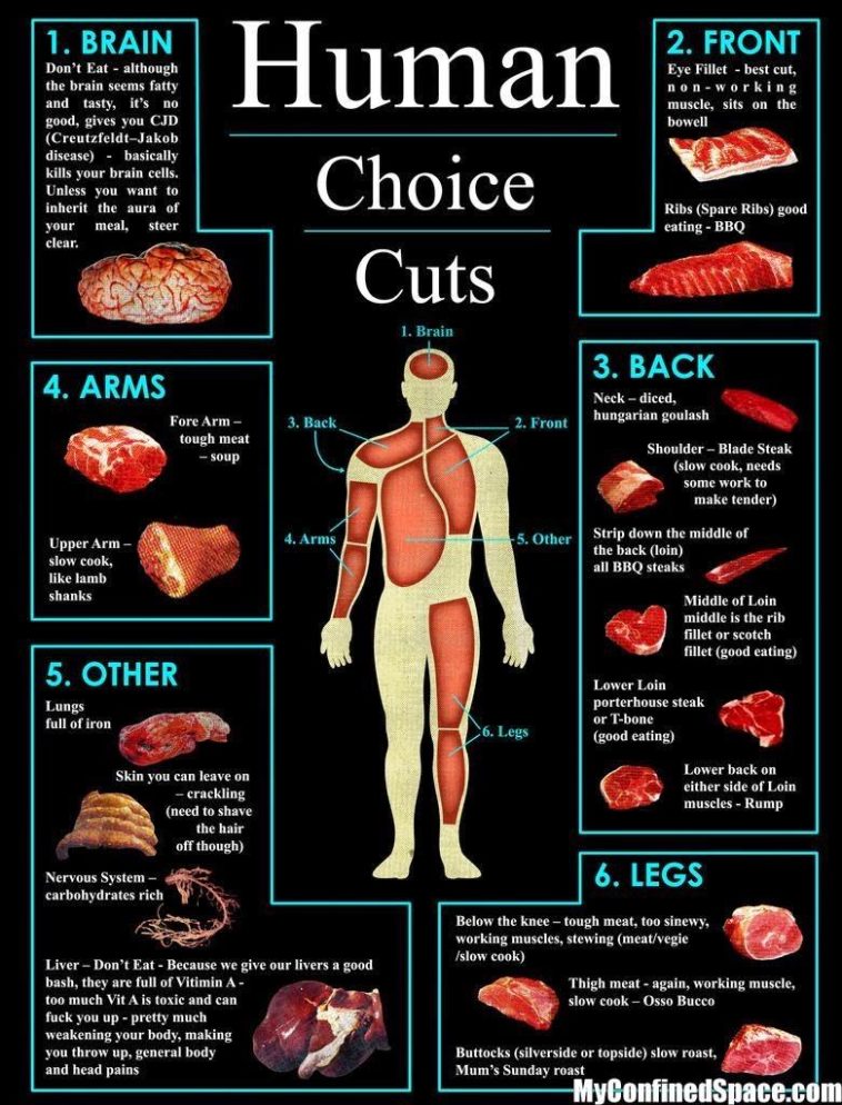 Infographic : Human Meat Cuts - Infographic.tv - Number One ...