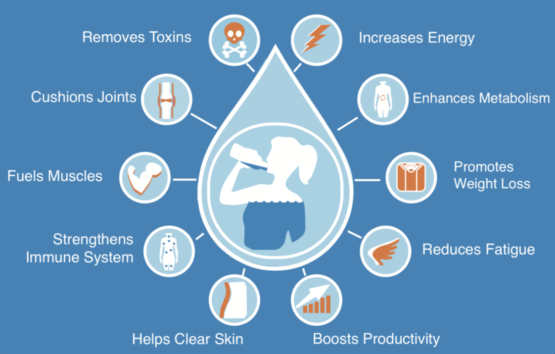 Infographic Why Drinking Water Is Important Infographic Tv Number