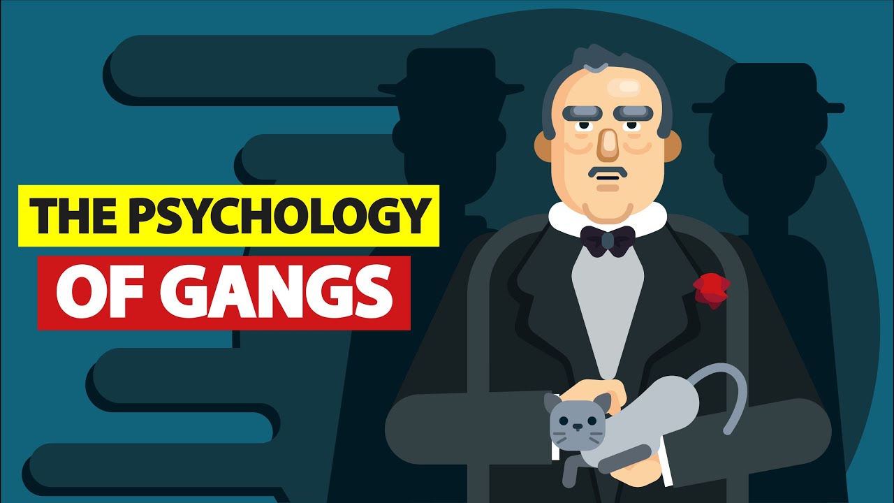 Video Infographic What Makes Someone Join a Gang? Infographic.tv