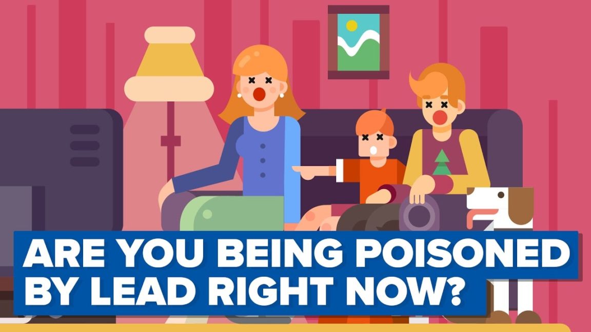 Video Infographic Lead Poisoning Will Make You Go Crazy What Are