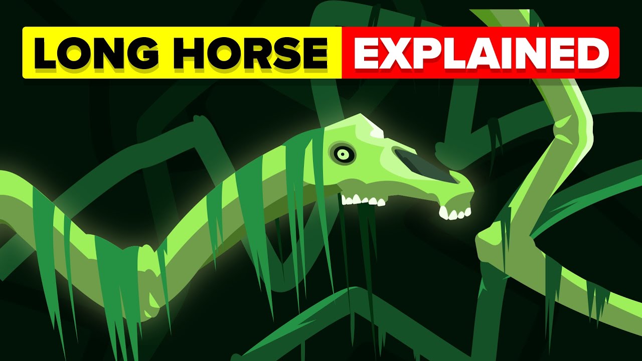 Video Infographic Long Horse Explained Infographic.tv Number