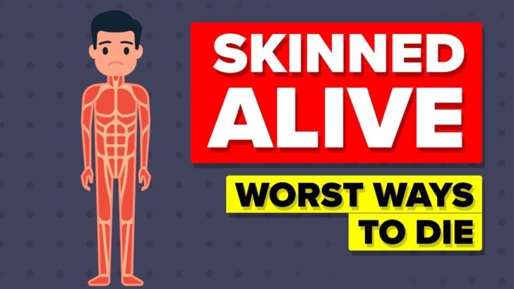 Video Infographic Skinned Alive Worst Ways To Die Infographictv