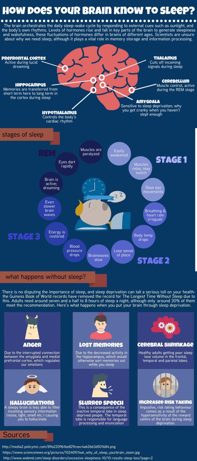 Chart : sleep - Infographic.tv - Number one infographics & data Data ...