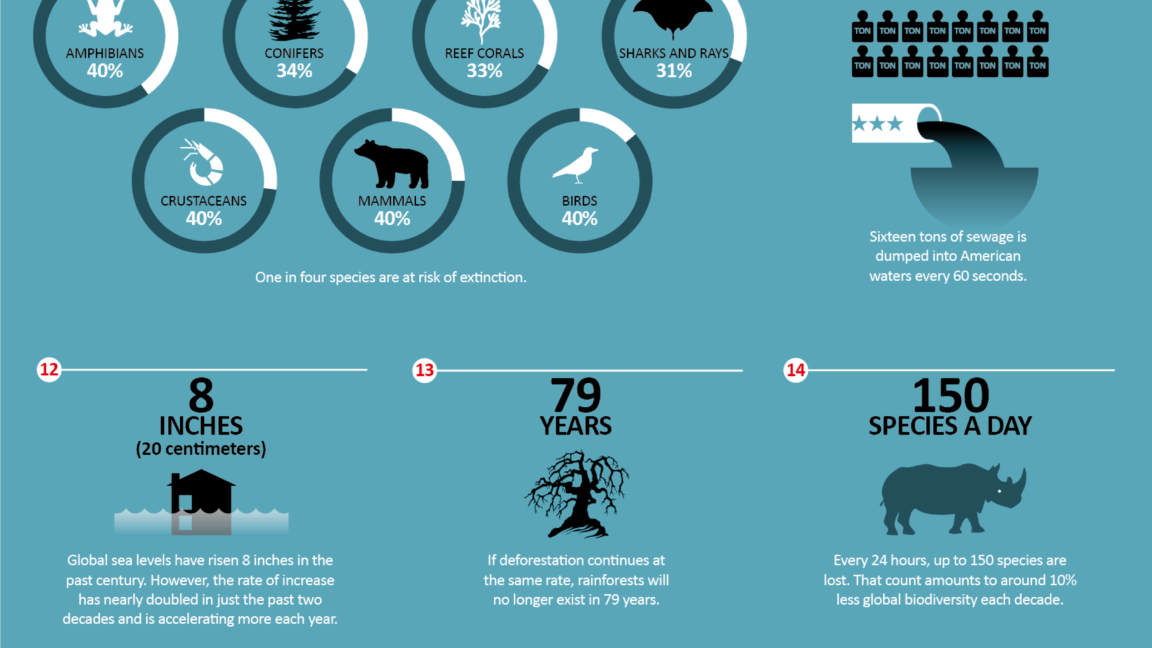 Visual : Five Stages of decomposition - Infographic.tv - Number one ...