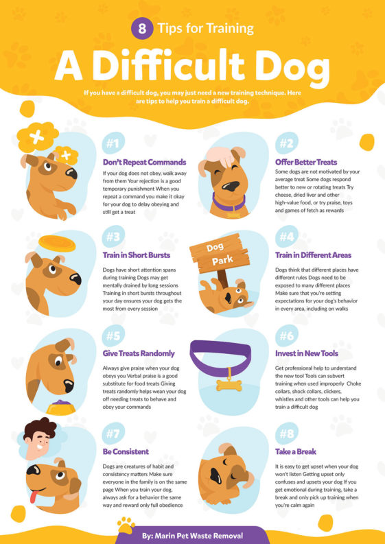 Graph : 8 Tips For Training A Difficult Dog [infographic]adopting A Dog 